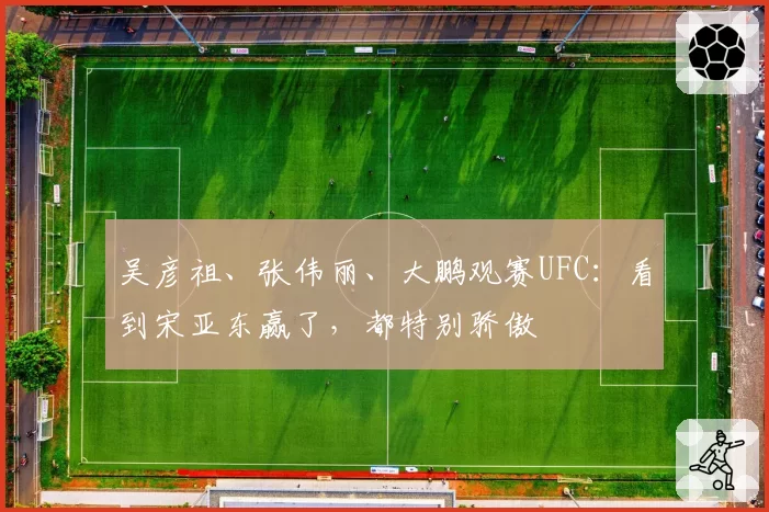 吴彦祖、张伟丽、大鹏观赛UFC：看到宋亚东赢了，都特别骄傲