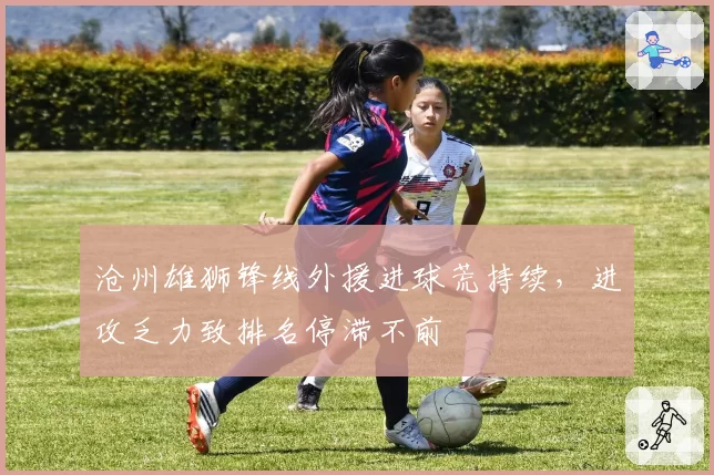 沧州雄狮锋线外援进球荒持续,进攻乏力致排名停滞不前